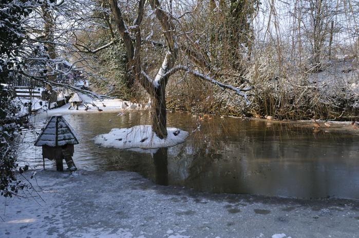 Buckland pond 3